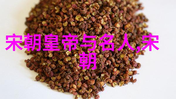 宋朝相关历史内容我和宋代的故事从北宋的繁荣到南宋的抗争
