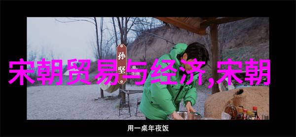 如何评价元世祖忽必烈在开创新疆及其他边疆地区政策上的成就与挑战