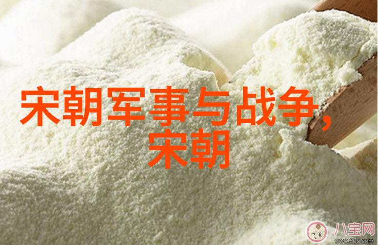 战神背后的孤独朱祁镇的沉默之翼