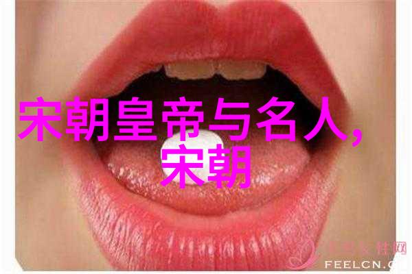 南宋将领孟珙的失态之举金国皇后的屈辱记