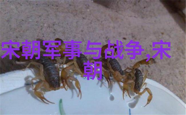 SAO世界的孤独英雄