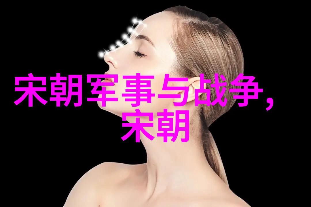 元朝的辉煌征服与融合下的中国文明