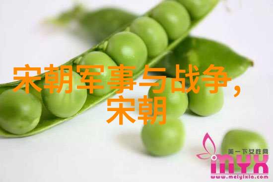 蒙古帝国灭亡后元朝留下了哪些遗产