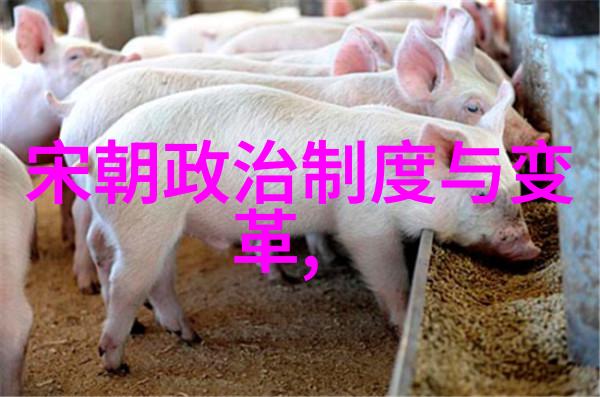 古韵墨香书法家的悠久篇章