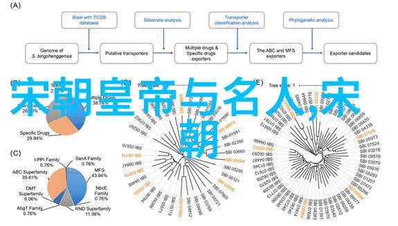宋代社会变化的深层涟漪历史的波澜中寻找变迁之谜