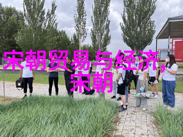 南宋皇帝与政变一览历史的沉浮