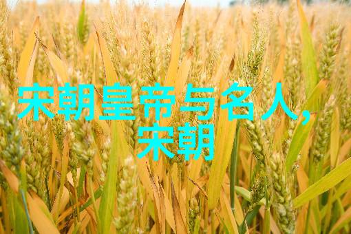 明朝人口鼎盛数千万人潮的兴衰史