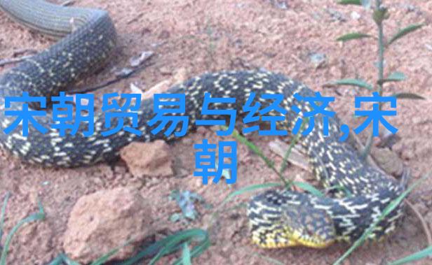 乾隆合葬的五位夫人帝王之爱与忠贞