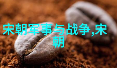 元朝对外战争中世纪中国的征服与和平