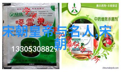 最不应该灭亡的朝代 - 重塑历史探索那些值得延续的辉煌时期