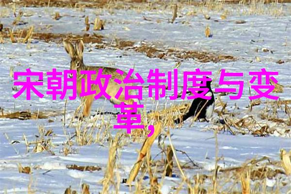 明朝明成祖下一位我叫朱厚熜你知道吗