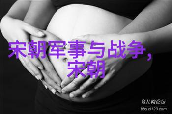 明朝情怀-明朝明朝待明朝只愿卿卿意逍遥追忆往昔荣耀与沉浮