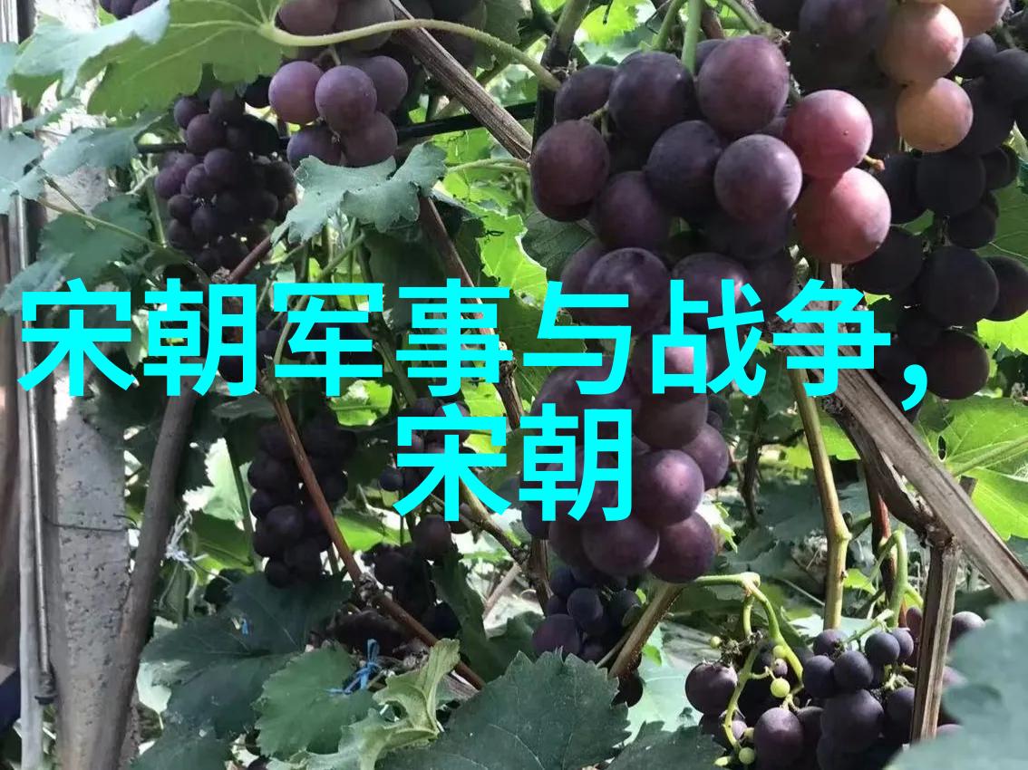 人物做有温度的人工智能科研经费管理者
