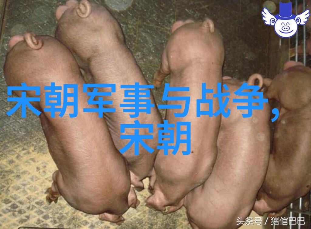 朱元璋建国与专制的统治者