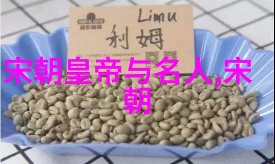 宋朝时期-宋代周边国家概览邻国风貌与交往