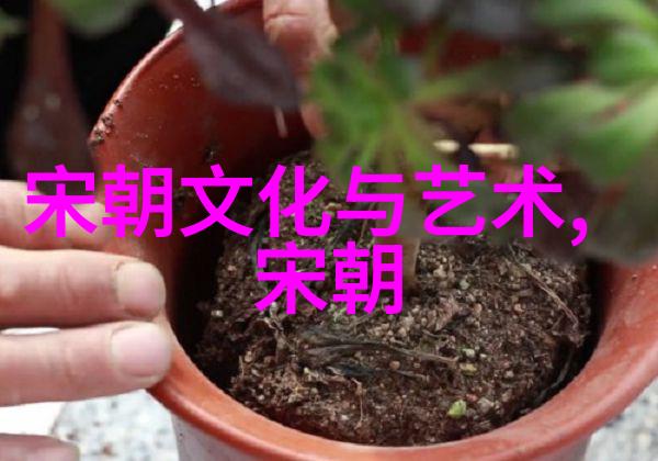 最长的封建朝代是哪个 - 中国历史上的唐朝从盛世到衰败再到辉煌的传承