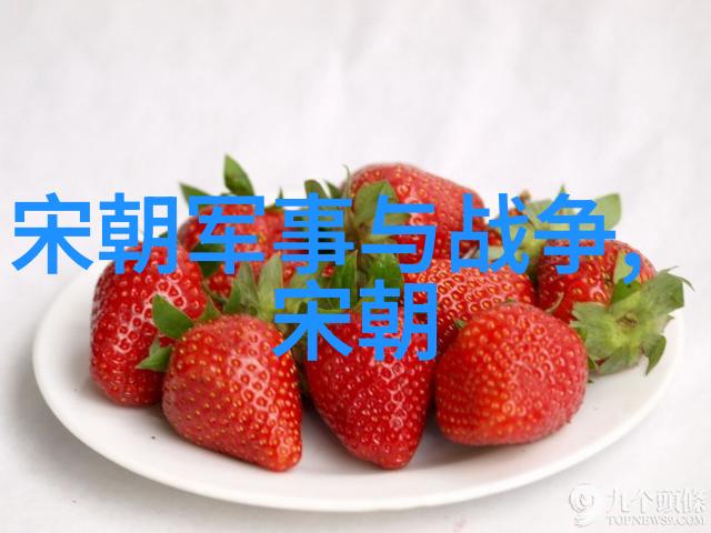 历史人物评价的基本原则说清评史如何正确认识那些名将名臣