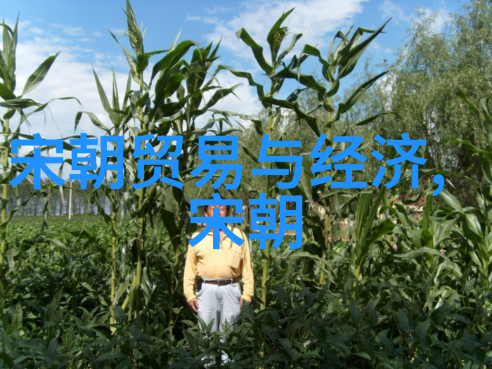王朝的回声明末变革与传承的交响曲