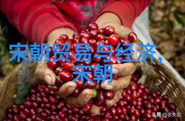 明朝那些事有声小说揭秘历史的沉浮大戏