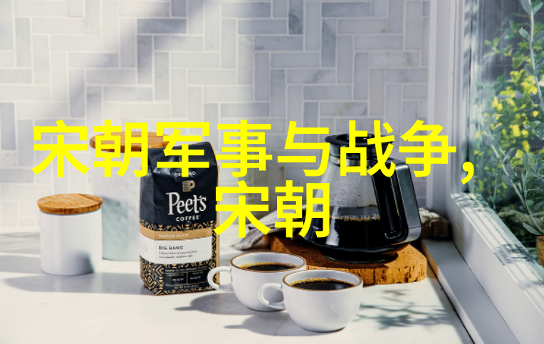 寿阳公主的杨式太极拳柴荣水之韵