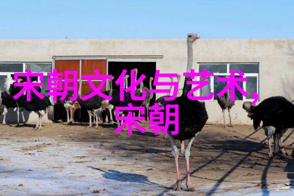 明清历代帝王的盛衰与变革