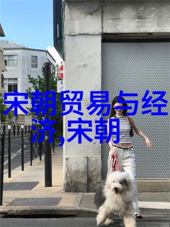 华夏光荣北周与隋朝的辉煌篇章