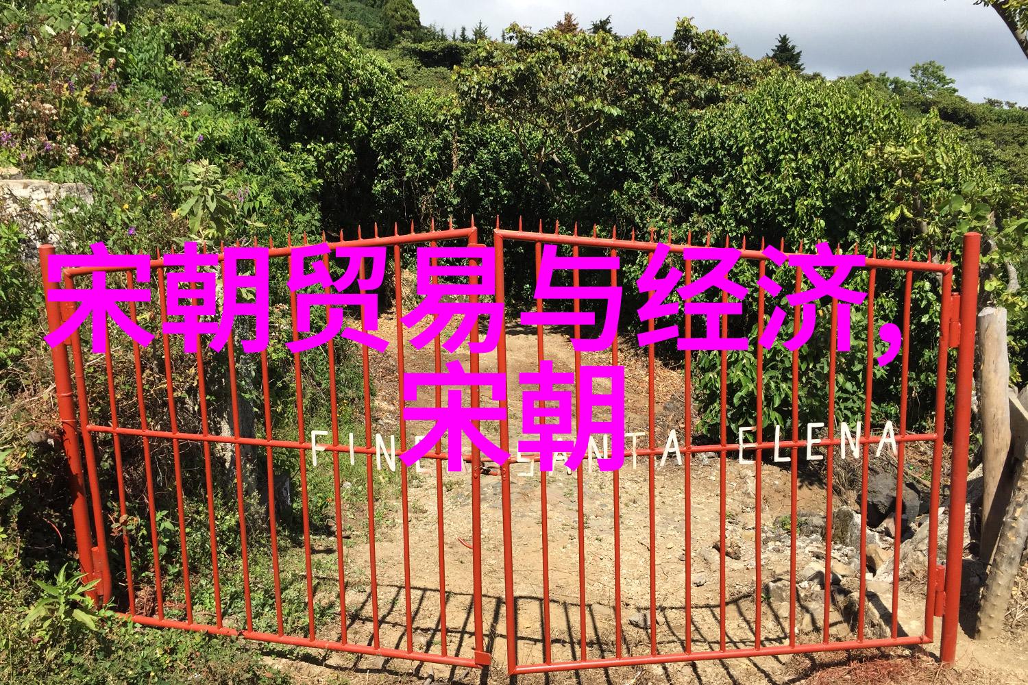 以身作则影响一朝研究孙若微的人格魅力
