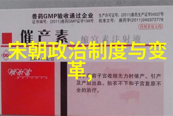 大理回顾一场文明交汇点的结束篇章