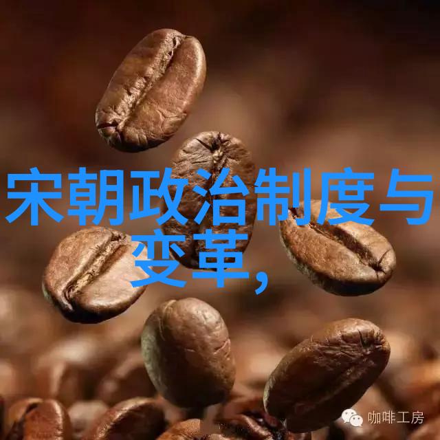 揭秘明朝风云免费探索历史奇缘
