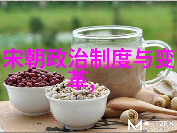 探秘我是如何揭开刘伯温真实死因的谜团