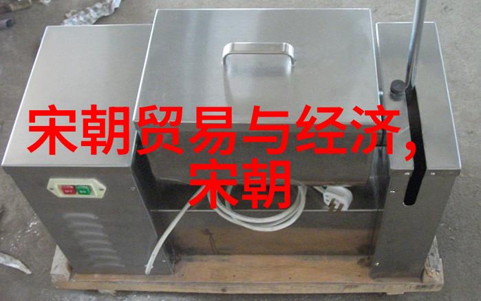 在历史长河中寻找那份不朽朱祁镇传记探索