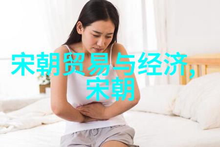 南宋史简介江山易改本心难移