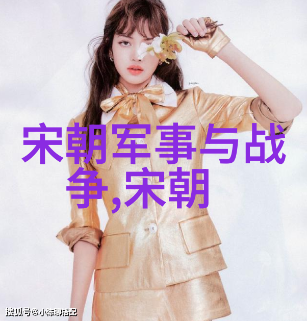 明朝台湾的繁荣与衰落从郑成功抗击荷兰到清廷统治的转变