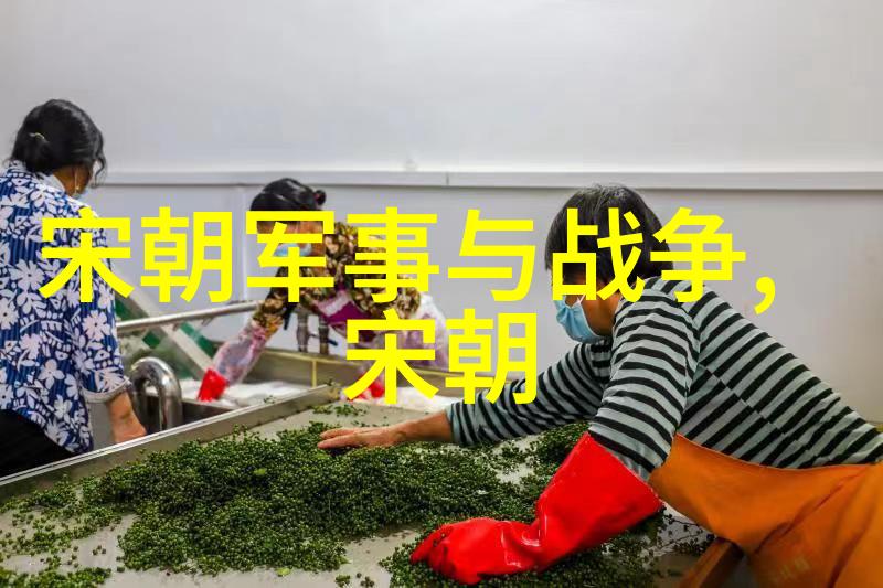 明朝风华江山社稷之变迁