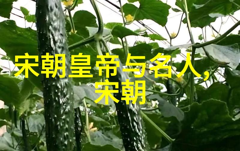 元朝的辉煌与坎坷从忽必烈称帝到黑死病的来袭元朝历史关键事件总览