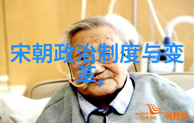 一代天骄千古孤魂探索内阁大臣对宁王事件的心理分析