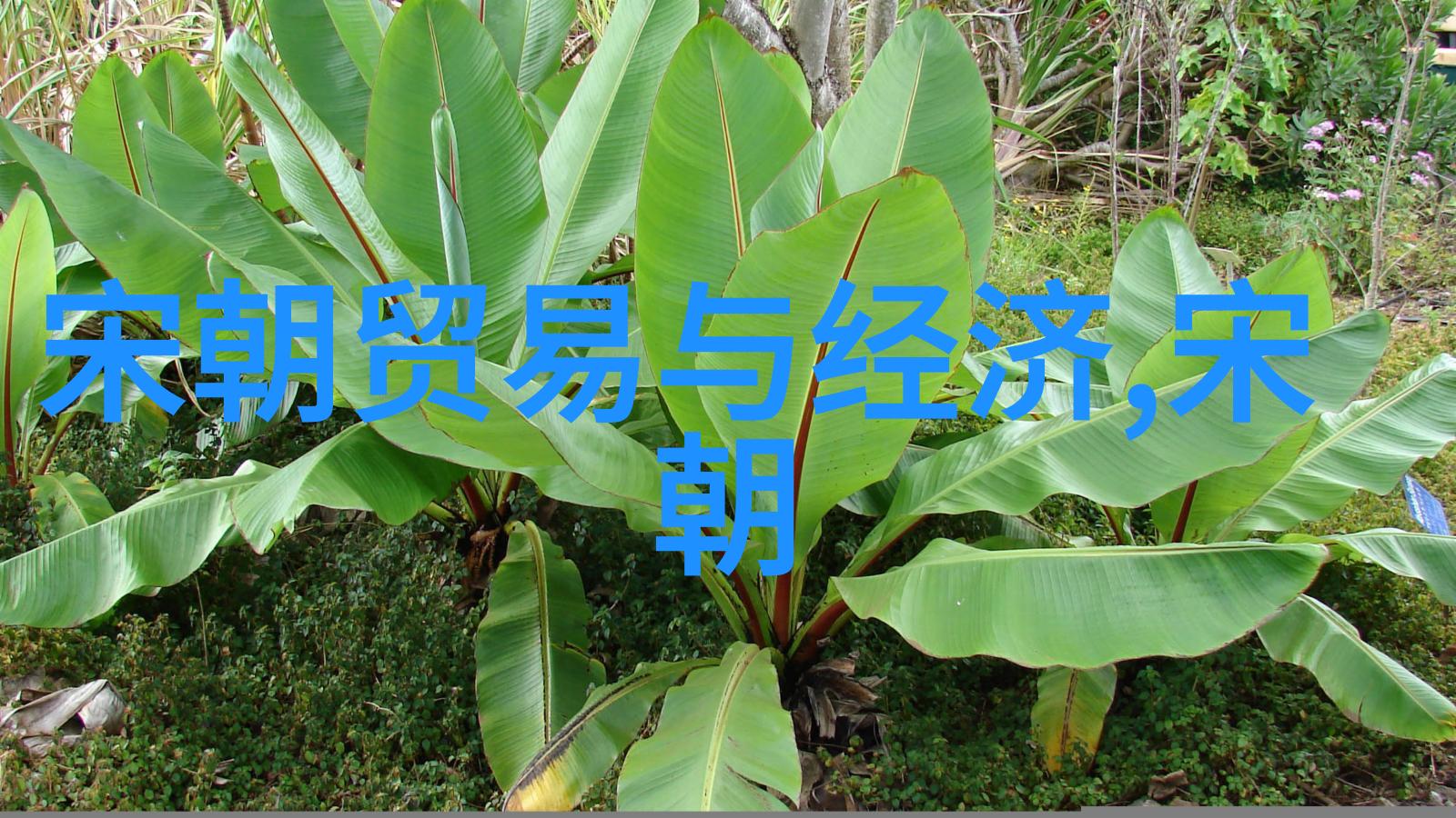 古风的辉煌明朝十六位皇帝的传奇故事