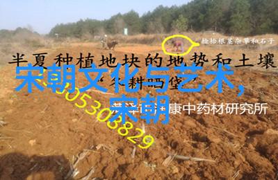 明朝英杰录权谋风云中的顶尖能手