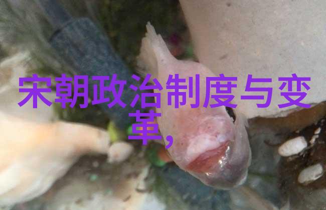 中国古代帝王顺序与名字秦始皇汉武帝唐太宗宋真宗等