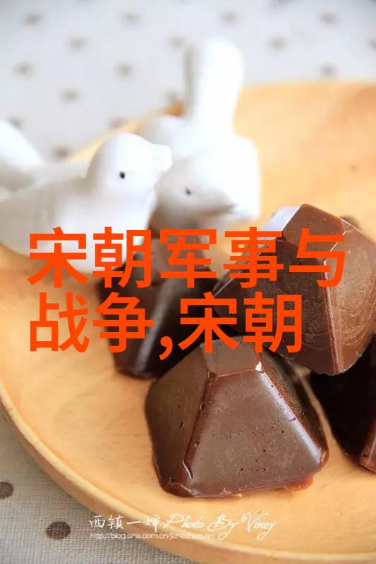 宋朝历史成就中兴盛世的辉煌篇章