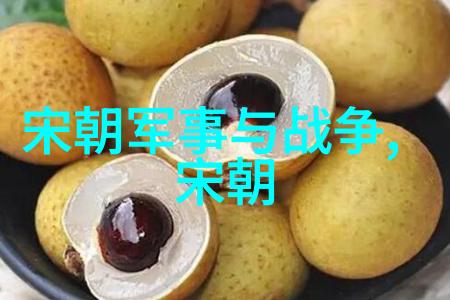 明朝盛世与覆灭朱元璋登基明朝开国之君永乐大帝南巡开辟海上丝绸之路李时珍编著本草纲目医学成就以及太监权