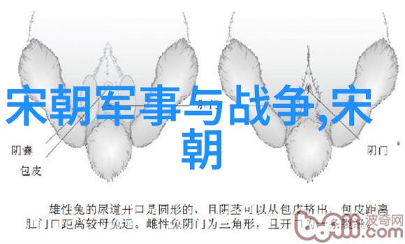 明朝那些事儿精彩句子-锦绣江山下的历史秘密揭秘明朝那些惊心动魄的故事