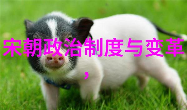 明朝最好的帝王是谁-明代英主探索权衡朱元璋朱棣与朱由检