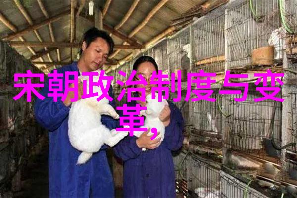 探索中国古代文化的奥秘追学网如何重新诠释历史