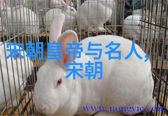 明朝无昏君为什么灭亡了 - 明代末年政治腐败与外患的双重夹击探究明朝衰落的深层原因