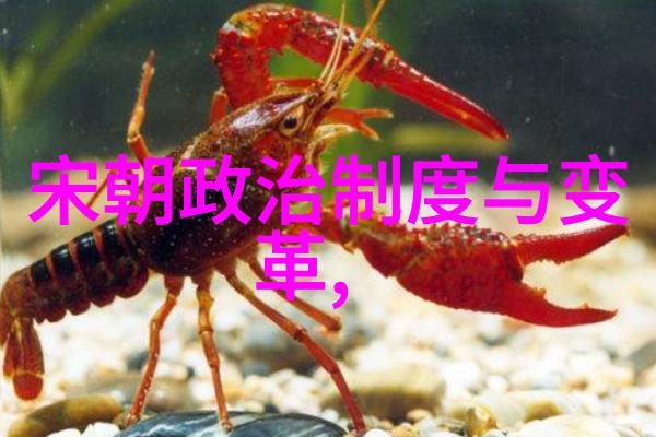 明朝皇帝排位顺序明朝皇家继承权的严格体系