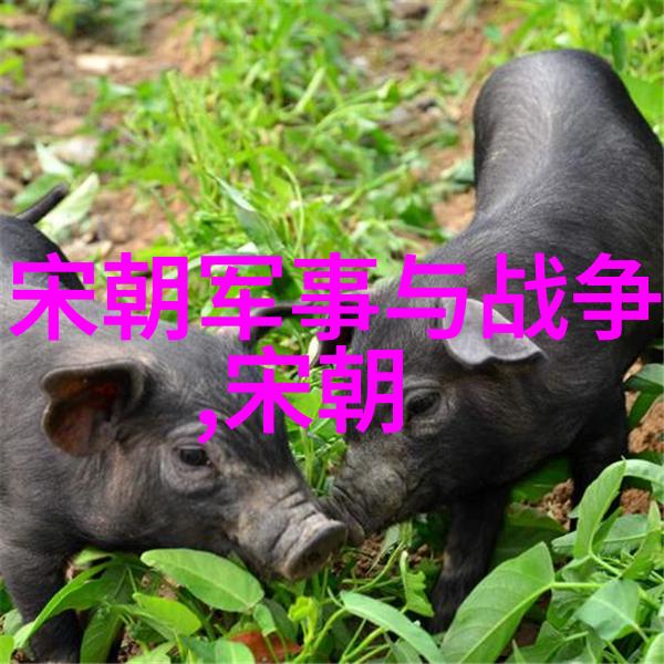 明朝那些事儿名人书评-时光长河中的历史巨著明朝那些事儿的读者评价