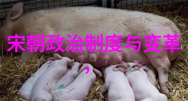 从唐宋到清后续探索中国历史的延续与变迁