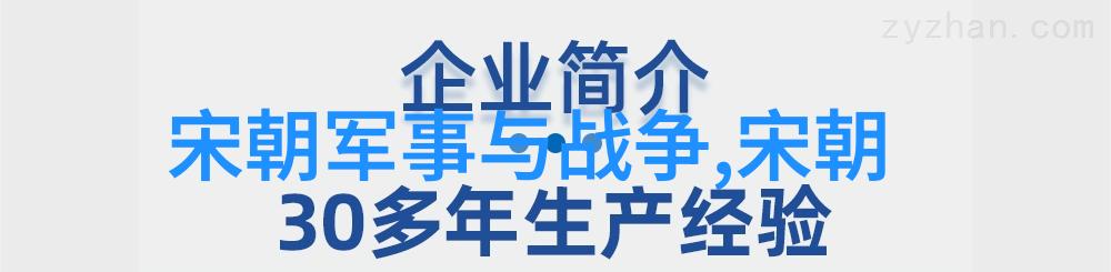 时光裂缝明朝历代的秘密交响曲