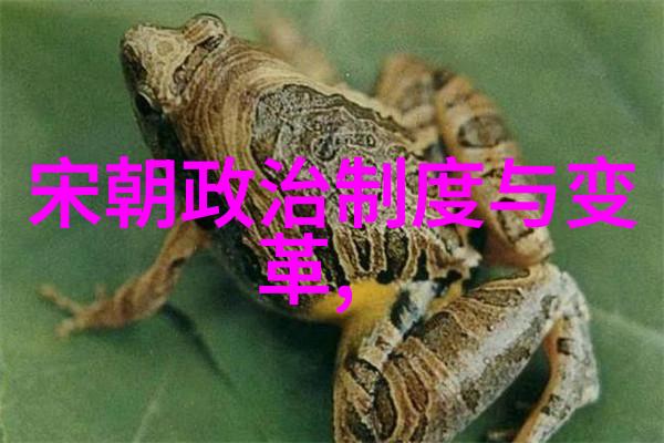 绍兴和议